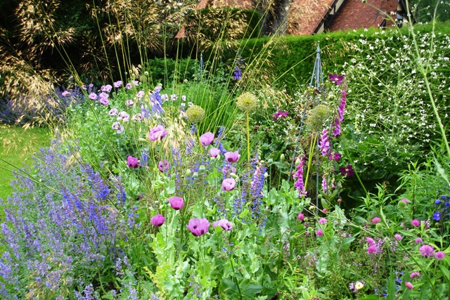 Herbaceous border in June