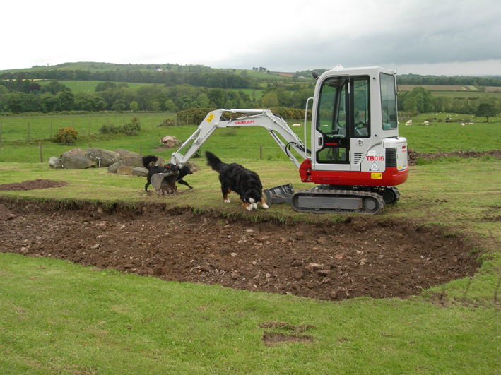 Shape dug out, dogs very curious! June 2011