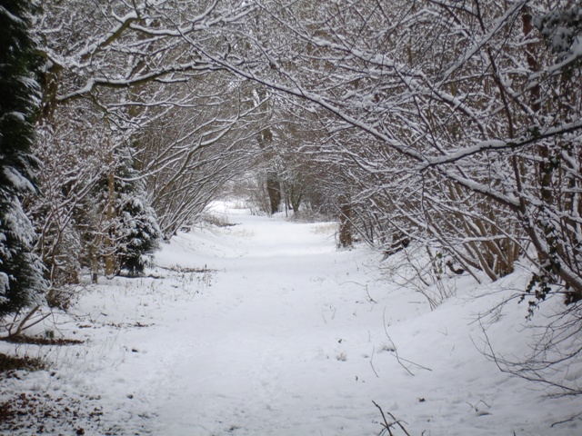 January 2013. A winter wonderland.