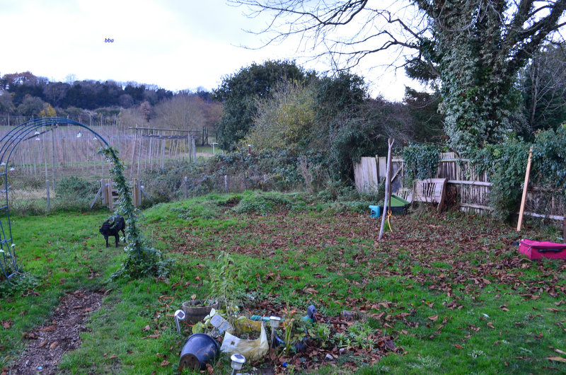 The bottom of my garden facing left. I back on to the Hop fields