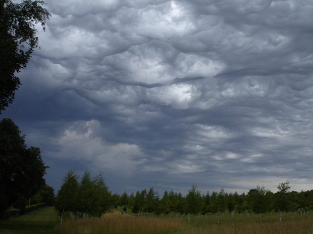 Stormy summer sky