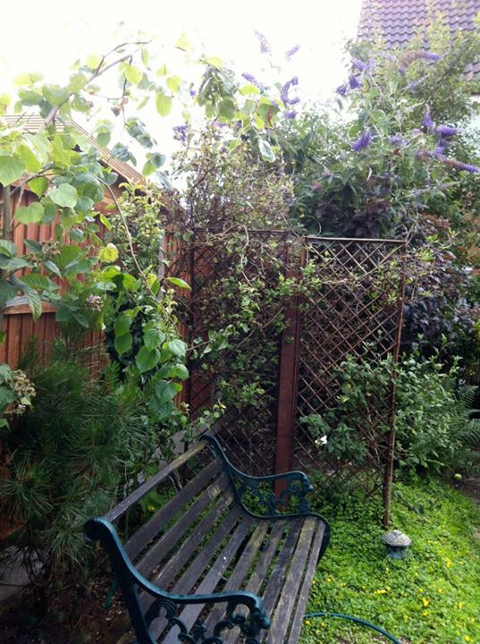 Installed willow trellises as a partitioning screen