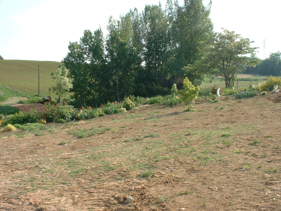 Another 5 trailer loads of muck and another border is born