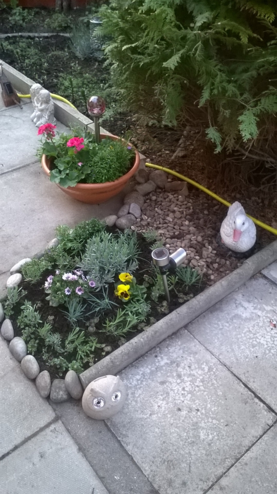 lavender to brighten up a little border