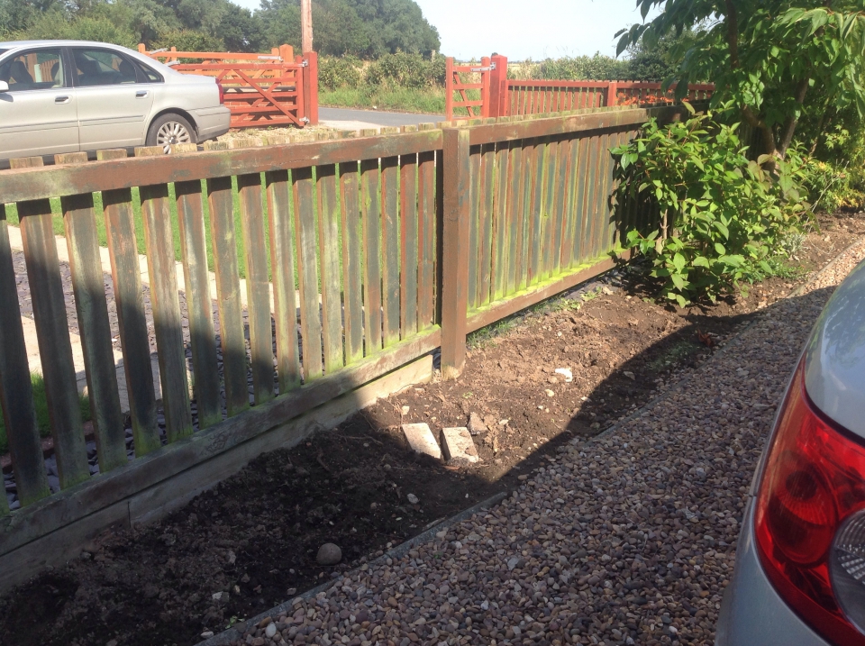 Dug up quite a few bushes/trees, next to move the boarded to make it all shorter and more manageable