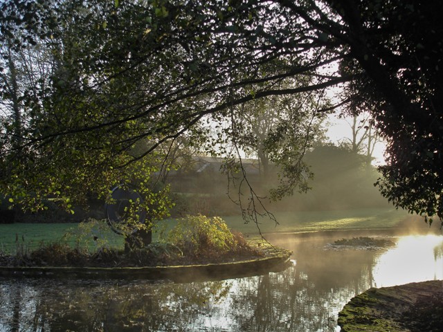 The Pond at Dawn