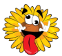 Kooky Sunflower