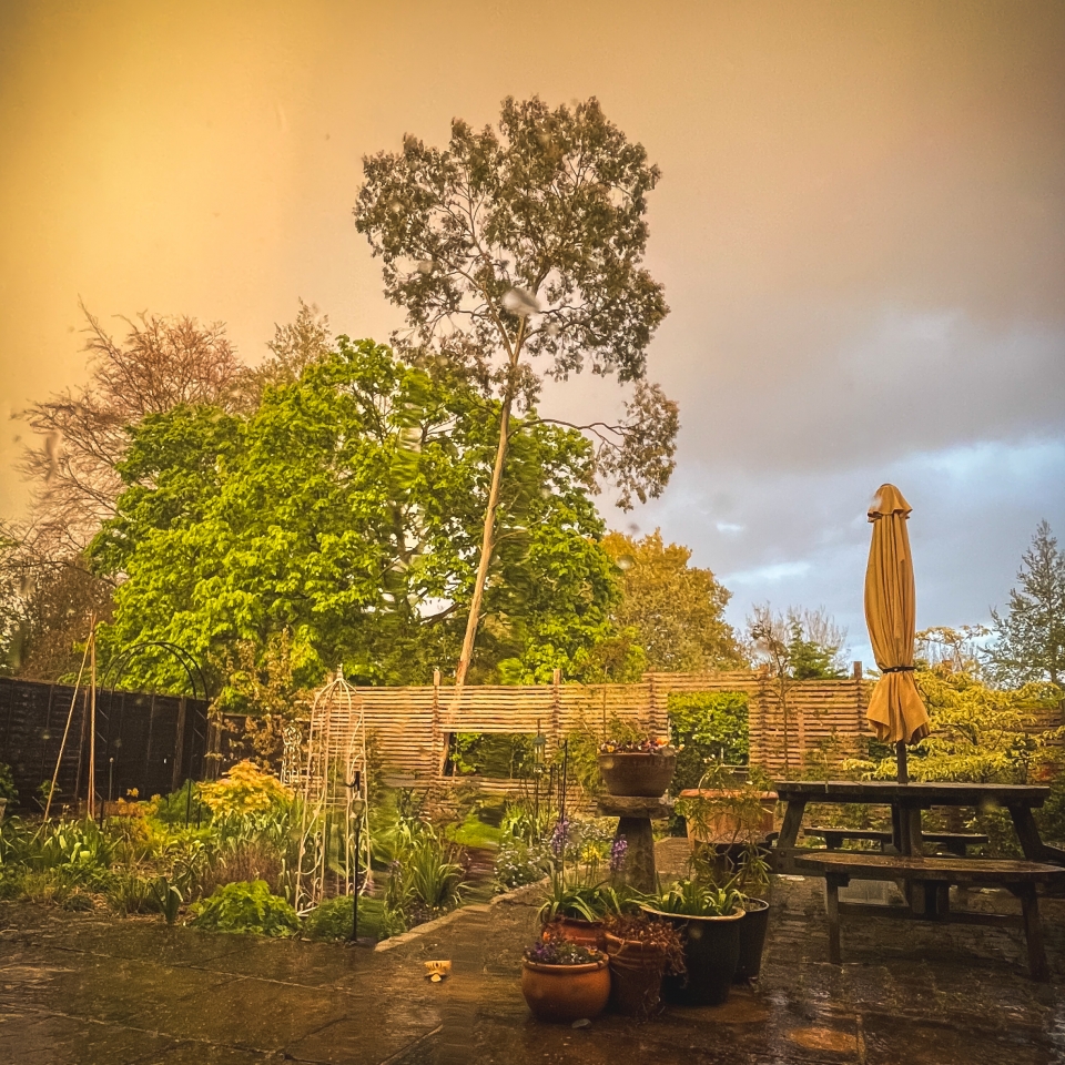 Fabulous evening light as the rain came down