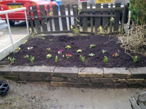 our new raised bed