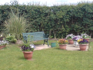 container garden at our caravan