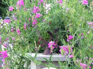 sweet peas &amp; sun dial