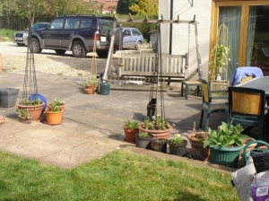 Patio, with an array of pots, some with plants destined for the border.