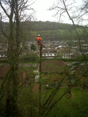 Oak dismantle over railway line