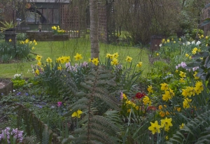 a pretty corner in the garden