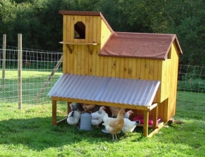 Hen house