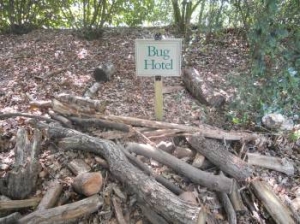 Blicking Hall, the bug hotel!