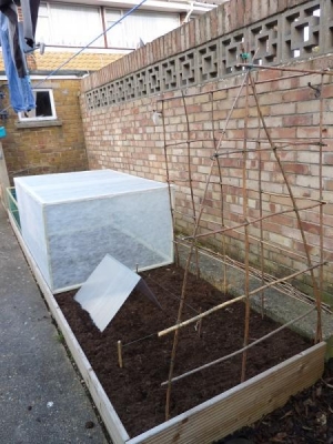 My raised bed also made by my husband