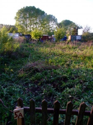 allotment