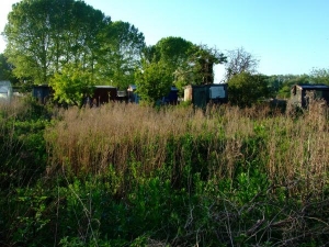 New allotment