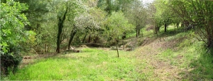 Lavoir area