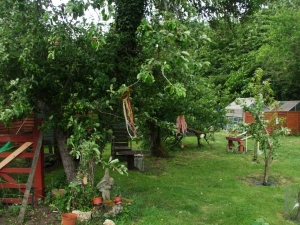 apple trees, gate and garden after 2 and half years