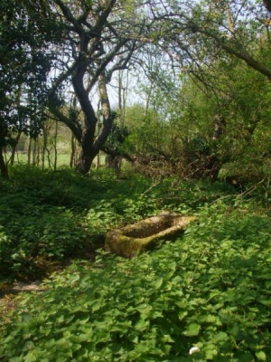 another part the wood with concrete trough