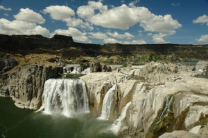 shoshone dry