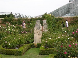 garden2011 006