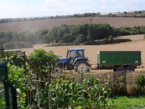 Tractor at the bottom of our garden!