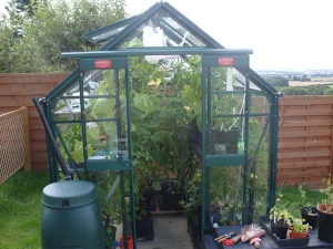 Greenhouse in full prodiction