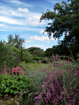 Barn garden