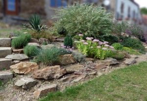 Rockery (September 2011)