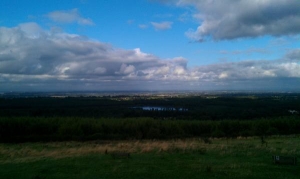 Delamere forest