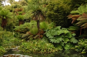 Heligan 2011