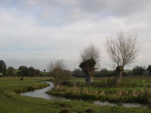 River Windrush at Burford