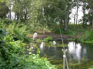 River Loddon Berkshire