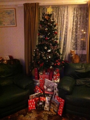 Zeus is keeping guard on Xmas eve as his presents are all under the tree lol