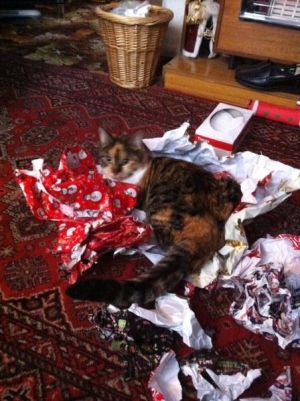 Vienna say's  &quot;I wasn't really bothered with the present but the paper is good fun !&quot;