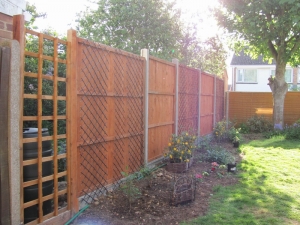 New fence finished and stained.  A bit orange and loud, I've called it Jordan.