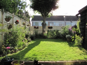 30th June 2012 - one of the days in June when the sun actually shone.  Neighbour's cat making a...