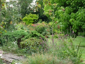 The Garden in August.