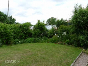 Palustris' Garden June 2014