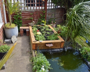 Bog Garden