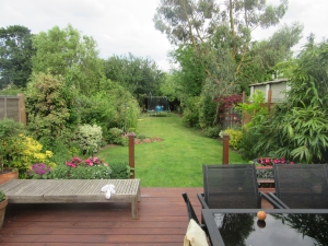 The view of the garden obscured by the dreaded trampoline