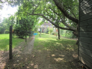 At the shed looking back up to the house