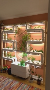 Finngals hydroponic experiments