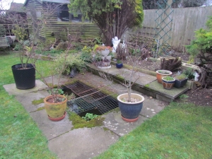 Bottom Pond with stumpery showing in the background.