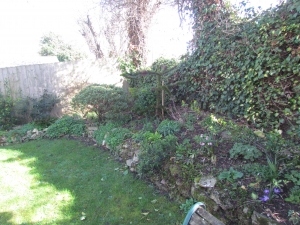 Shady raised bed along the bottom of the garden..