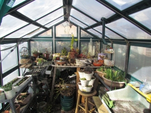 In the Greenhouse