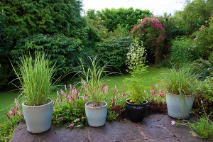 This is the patio above the Persicaria bed with various grasses in pots and the arch in the...